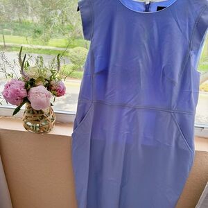 J. Crew Blue Sheath Dress with Cap Sleeves